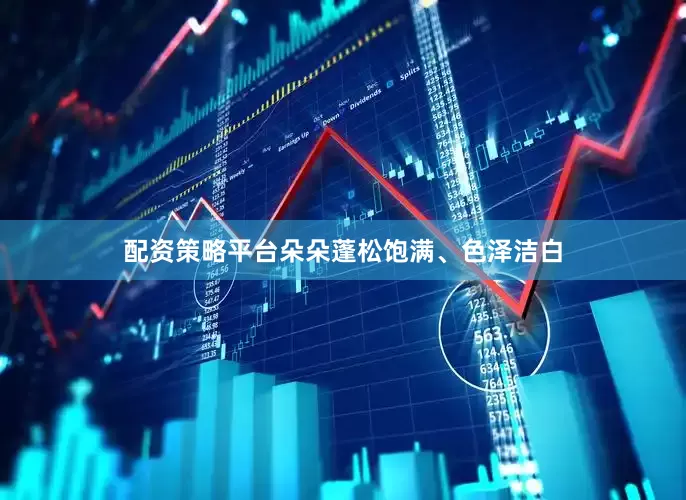 配资策略平台朵朵蓬松饱满、色泽洁白